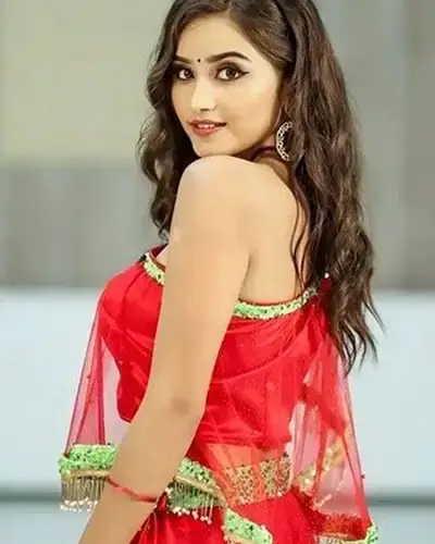 Call Girls Service Pattukkottai